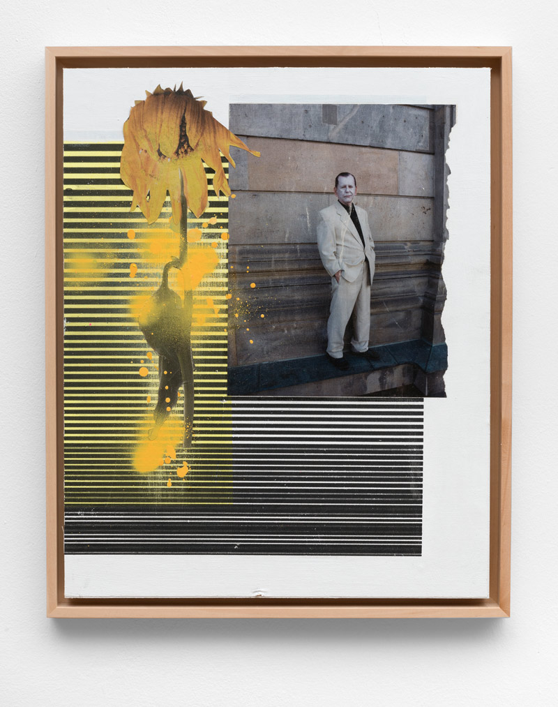 Natürliche-Mängel,-Andreas-Diefenbach,-2017,-54-×-40-cm,-Collage,-Siebdruck,-Lack-und-Acryl-auf-Holz
